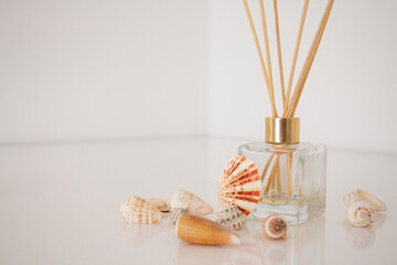 home fragnance and seashells on white background