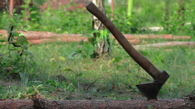 Siekierka w pniu. An ax in the trunk.