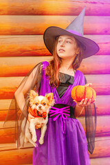 Halloween concept. Young girl in a Halloween costume with chihuahua dog.