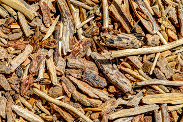 Close up of beach wood on the shores of Waterton Lake in southern Alberta