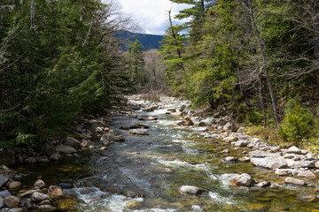Valley of the mountain river Pemigewasset with crystal clear water in the forest. Lincoln Woods Trail in the White Mountains, NH