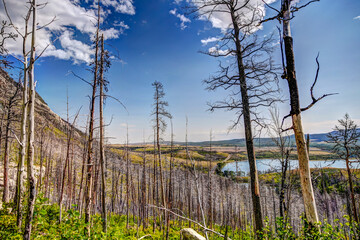 Obraz premium Landscapes and scenery along the Bear's Hump hiking trail in Waterton Alberta