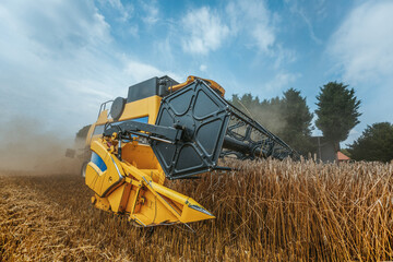 A yellow combine harvests wheat on a field in germany