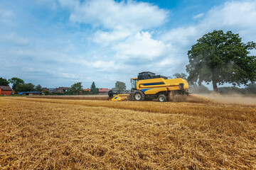 Obraz premium A yellow combine harvests wheat on a field in germany