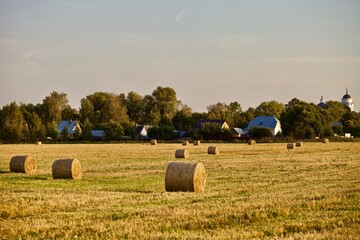 Fototapeta premium Beautiful traditional village view and bright yellow and golden Haystacks on agricultural field in sunny autumn evening. Haystacks on the field in the countryside. Harvest season in countryside.