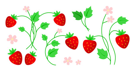 Strawberry with leaves and flowers cartoon summer flat style set isolated on white background. Different variations of berries and petals. Designer summer elements. Botanical vector illustration