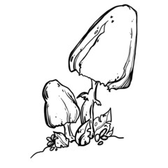 coloring book for children. tattoos. magic mushrooms. black line.