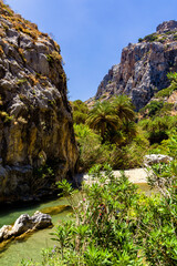 Lush palm forest and a small river leading to a sandy beach (Preveli, Crete, Greece)