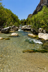Beautiful natural palm forest in an otherwise dry valley at Preveli, Crete, Greece