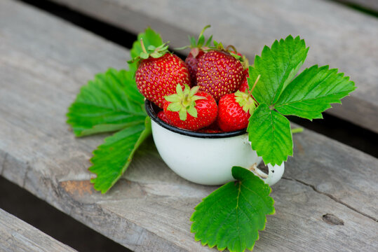 on the dock, large strawberries in a white mug lie