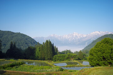 静かな美しい早朝の日本の風景