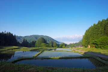 Fototapeta premium 静かな美しい早朝の日本の風景