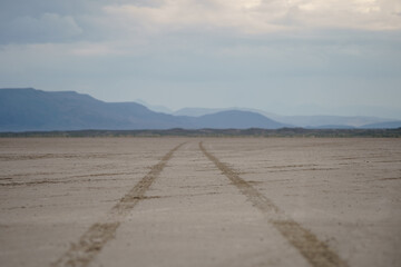 sandy tire tracks in the desert