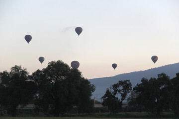 Sunrise in the forest with the sky full of colored hot air balloons over the trees that cause peace and tranquility
