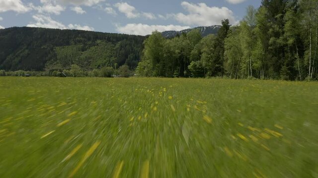 Aerial view moving forward shot, scenic view above a Green field in Liezen Austria, forest range in the background.
