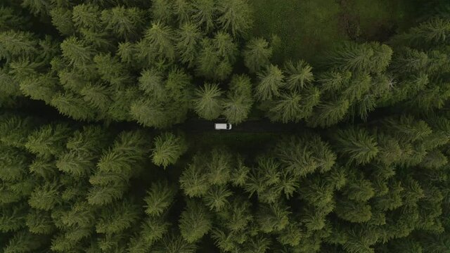 Bird’s eye view tracking shot, white van passing through rough road in Liezen in Austria, pine trees in the background.