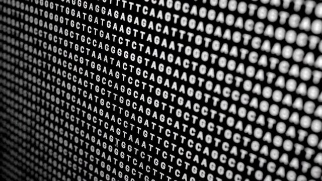 Sequencing of Human DNA on Screen Raw Data
