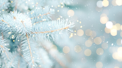 Close up photo of blue Christmas tree background outdoor with lights bokeh around. Christmas...