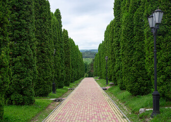 A long alley with cypress trees, benches and lanterns