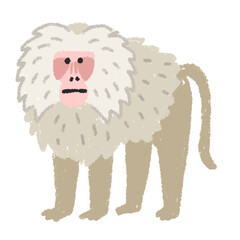 ントヒヒ　イラスト　素材
