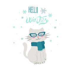 Cat in a glasses and scarves, Hello winter, vector illustration. Isolated. Flat design.