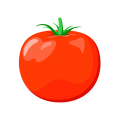 A ripe whole tomato on a white background. Raw vegetable in a cartoon design.