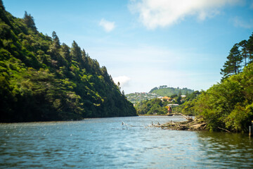 ニュージーランドのウェリントンの観光名所を旅行している風景 Scenes from a trip to Wellington, New Zealand. 