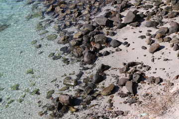 Orilla de playa hermosa, con agua cristalina, arena blanca y piedras. Paisaje natural. Playa de día. Con una planta de desierto en la esquina. Playa de la ciudad de La Paz, Baja California Sur. México