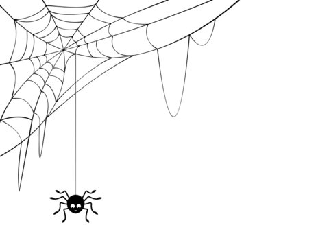 Silhouette spiderweb and spider at white background.