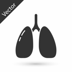 Grey Lungs icon isolated on white background. Vector.