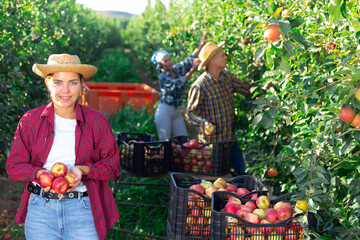 Obraz premium Portrait of happy female owner orchard with ripe apples in hands