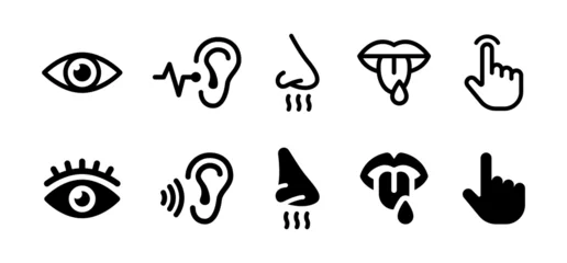 Foto op Aluminium 5 senses icon set. Perception symbol such as see, hear, taste, smell and touch. © Icons-Studio