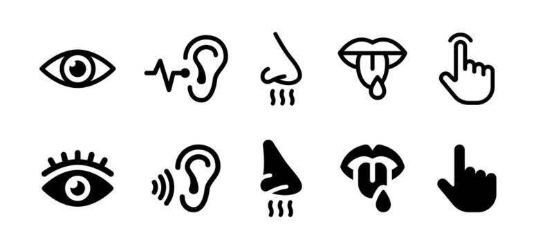 5 senses icon set. Perception symbol such as see, hear, taste, smell and touch.