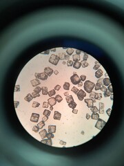 food salt particles under microscope