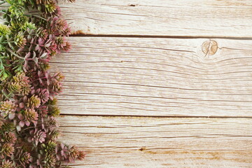 Fototapeta premium Green leave border frame on wooden background