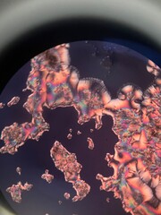 ascorbic acid crystals under microscope