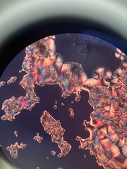 ascorbic acid crystals under microscope