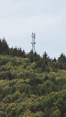 tower in the forest