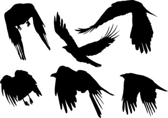 set of six crows black silhouettes