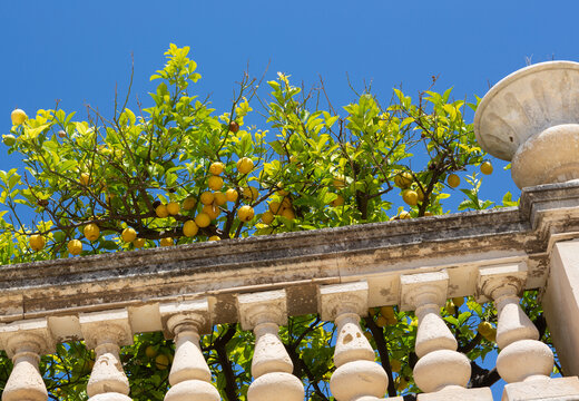 Sizilianische Zitronen auf dem historischen Balkon am Piazza Duomo, Syrakus, Italien