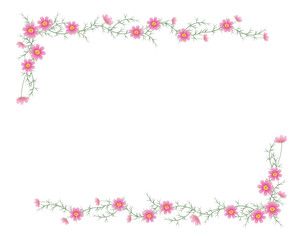 Obraz na płótnie Canvas コスモスの花のフレーム