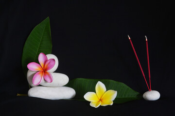 Beautiful frangipani flower or plumeria, with black background for template or spa