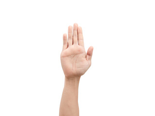 Fototapeta premium Male open hand white isolated