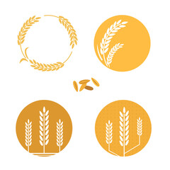 yellow rice icon
