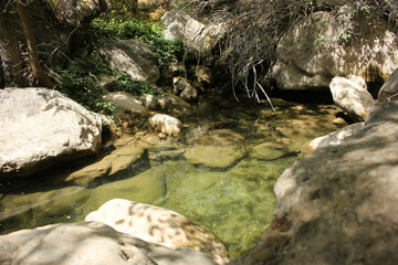 Tuttybulak river in Shymkent
