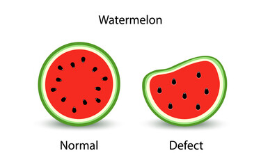 Ripe red watermelon is normal and with a defect. Half watermelon with seeds.