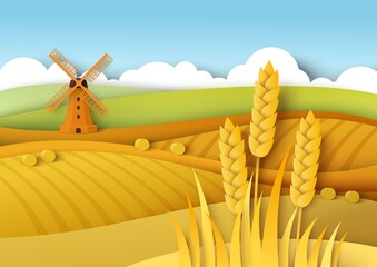 Rural landscape. Wheat fields, windmill, vector paper cut illustration. Field crop, farming, agriculture. Harvest season © Siberian Art