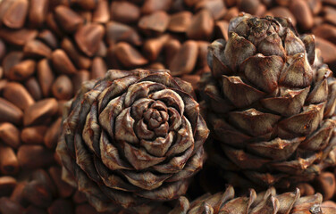 Pine cone on the background of pine nuts, healthy and healthy food, pine nuts, top view