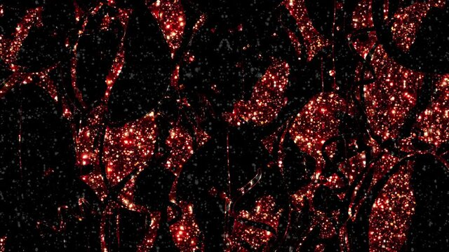 Shadows of leaves and plants. Animation outline on a magical shimmering background.