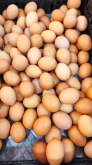 photo of a pile of eggs being sold in a supermarket and placed in a box